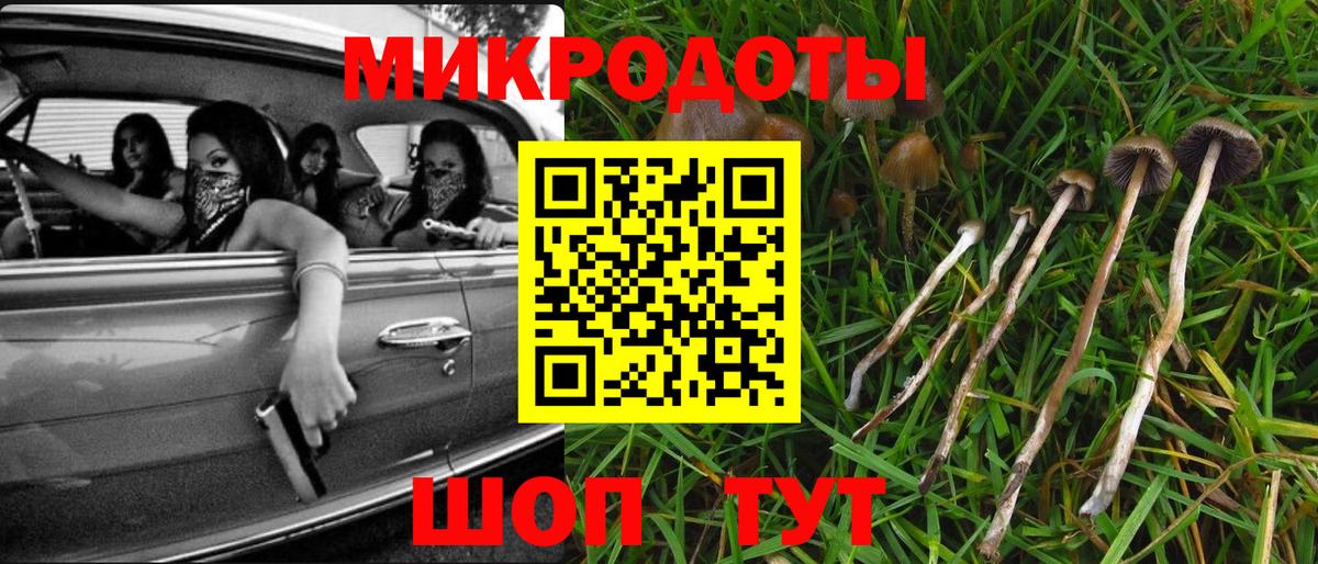 Псилоцибиновые грибы мицелий  Вход с VPN  Кузнецк 